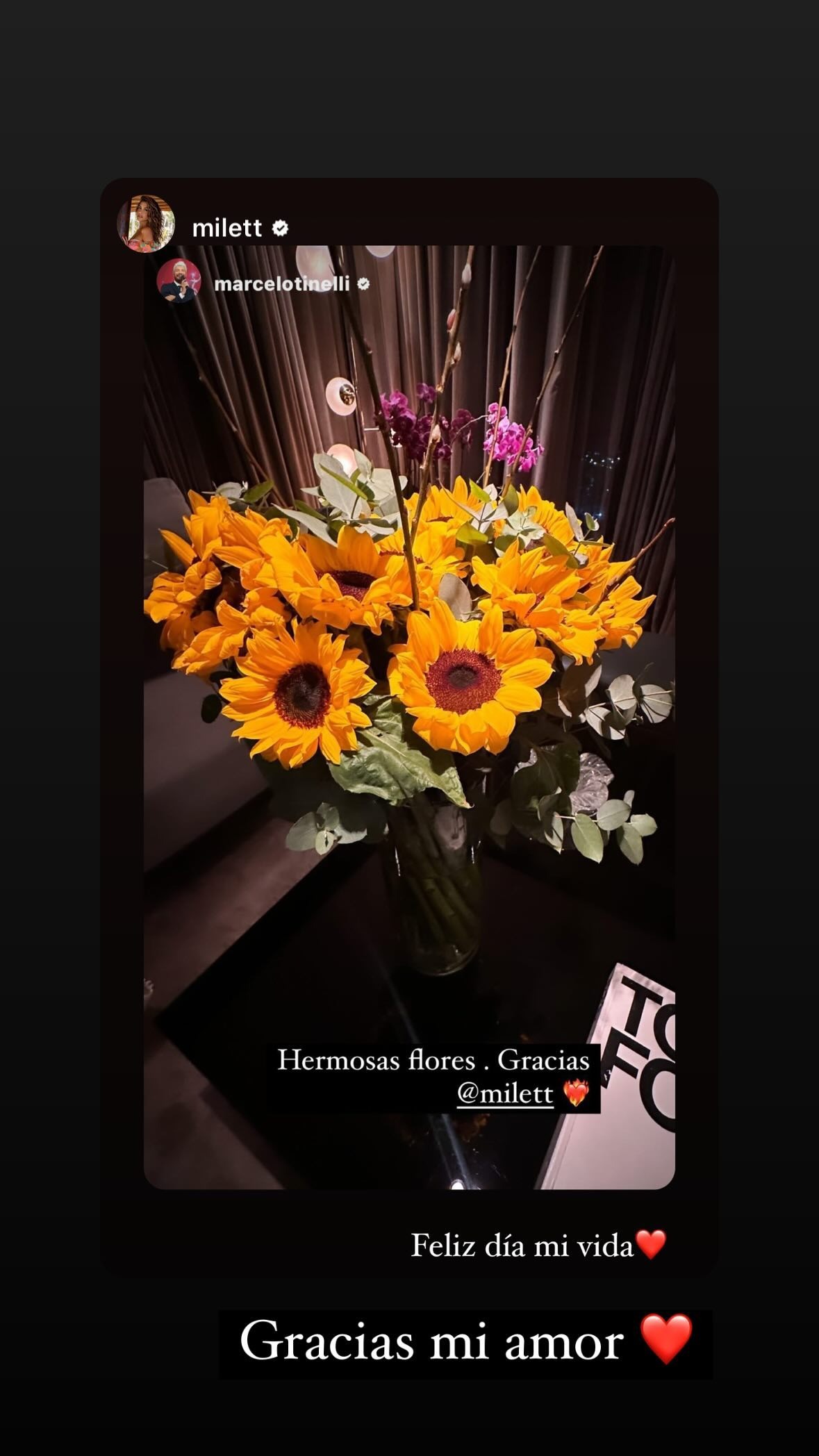 Milett Figueroa sorprendió a Marcelo Tinelli con flores por el Día del padre/Foto: Instagram