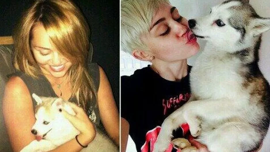 Muerte del perro de Miley Cyrus causó revuelo en Twitter