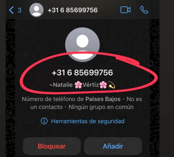 Este es el número de la persona que se está haciendo pasar por Natalie Vértiz/Foto: Instagram