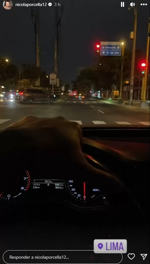 Nicola Porcella regresó al Perú / Instagram