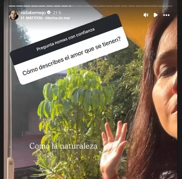 a Bermejo y Lucia Covarrubias mantienen una sólida unión que la artista no duda en proteger. Foto: Instagram