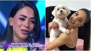 Onelia Molina reveló que conductor que atropelló a su mascota no se detuvo / AméricaTV