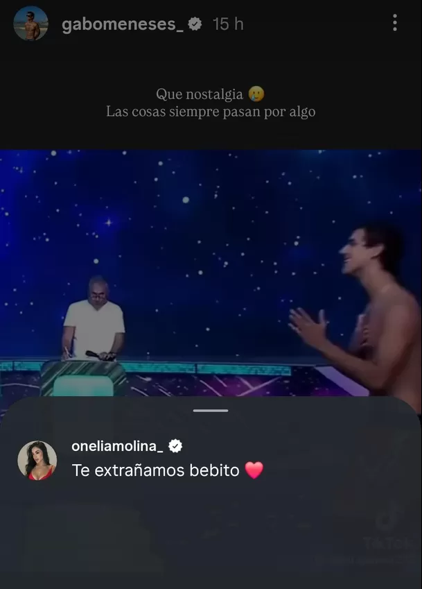 Onelia Molina brindó apoyo a Gabriel Meneses / Instagram Gabriel Meneses