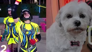 Onelia Molina demostró una fortaleza digna de admirar al presentarse en EEG en medio del duelo por su mascota. Video: América TV