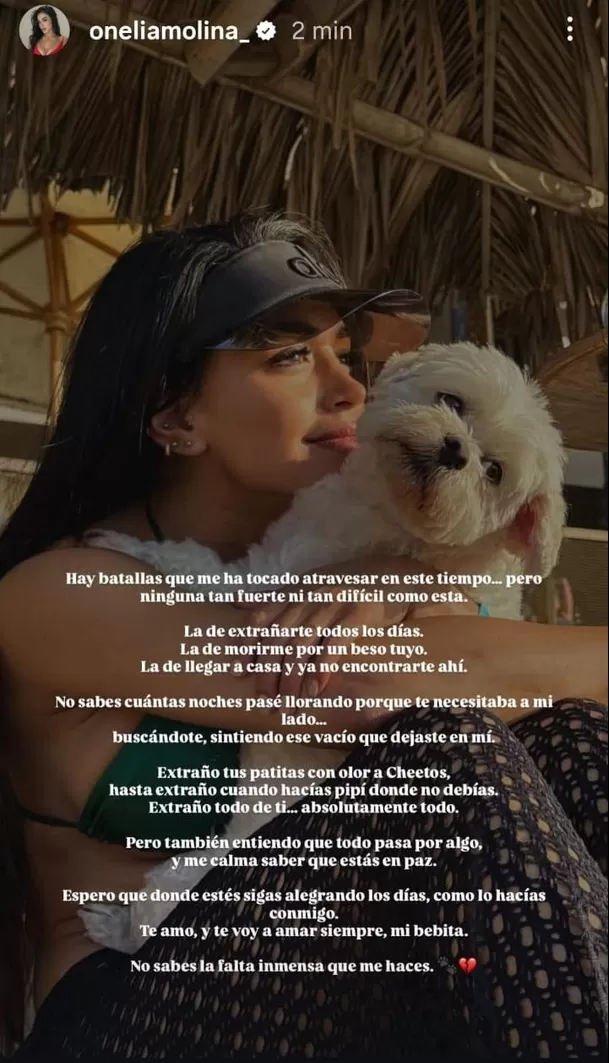 Onelia Molina conmueve a sus seguidores con desgarrador mensaje para su perrita ‘Nieve’ / Instagram