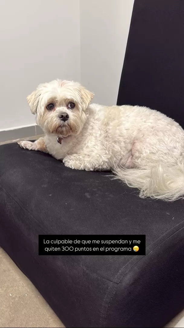 La culpable de la sanción de Onelia Molina en EEG / Instagram