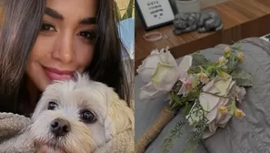 Nieve, la mascota de Onelia Molina, murió este fin de semana / Instagram