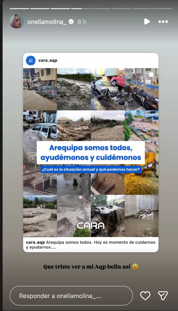 Onelia Molina compartió un mensaje en redes tras la emergencia que afecta a Arequipa, su ciudad natal. Foto: Instagram