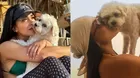 Onelia Molina devastada tras anunciar muerte de su perrita Nieve