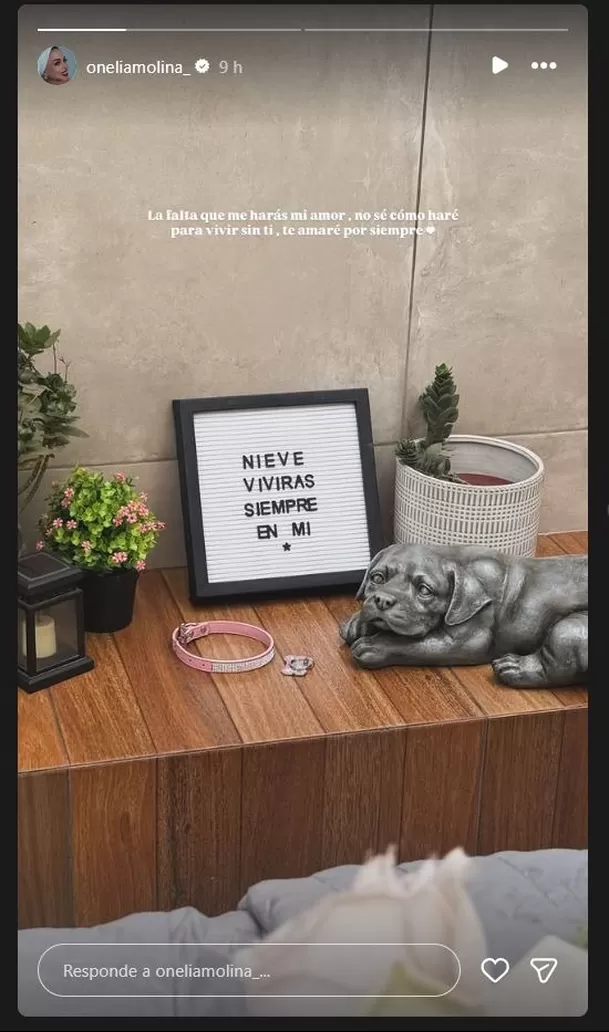 Onelia Molina sorprendió a sus seguidores, quienes le expresaron sus condolencias. Foto: Instagram Onelia Molina sorprendió a sus seguidores, quienes le expresaron sus condolencias. Foto: Instagram