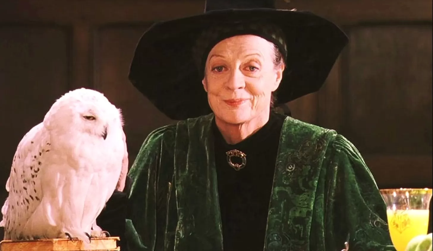 Janet McTeer en negociaciones para ser Minerva McGonagall. Foto: Reddit
