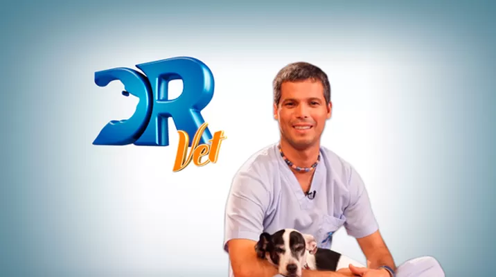 Dr. Vet Dr. Vet
