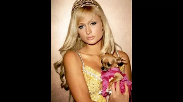 @parishilton @parishilton