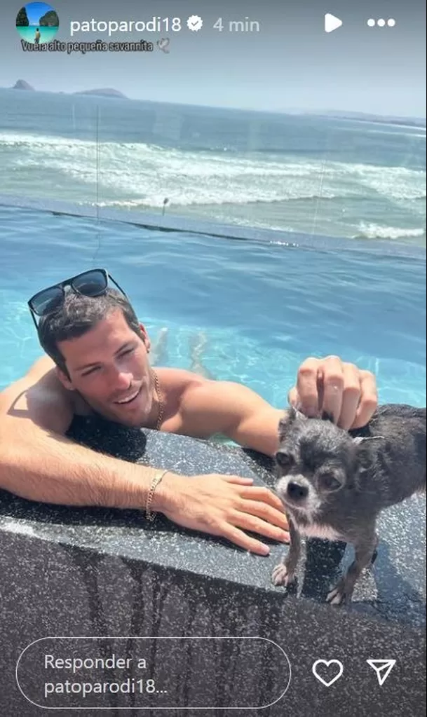 Patricio Parodi recordó sus mejores momentos con Savanna, la mascotita de Luciana Fuster / Instagram Patricio Parodi recordó sus mejores momentos con Savanna, la mascotita de Luciana Fuster / Instagram