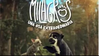 'Milagros: una osa extraordinaria' fue vendida a España y a la India / Video: StarsFilms Perú