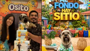 La peculiar celebración de 'Osito', un perrito influencer, causó furor en redes sociales. Video: Instagram