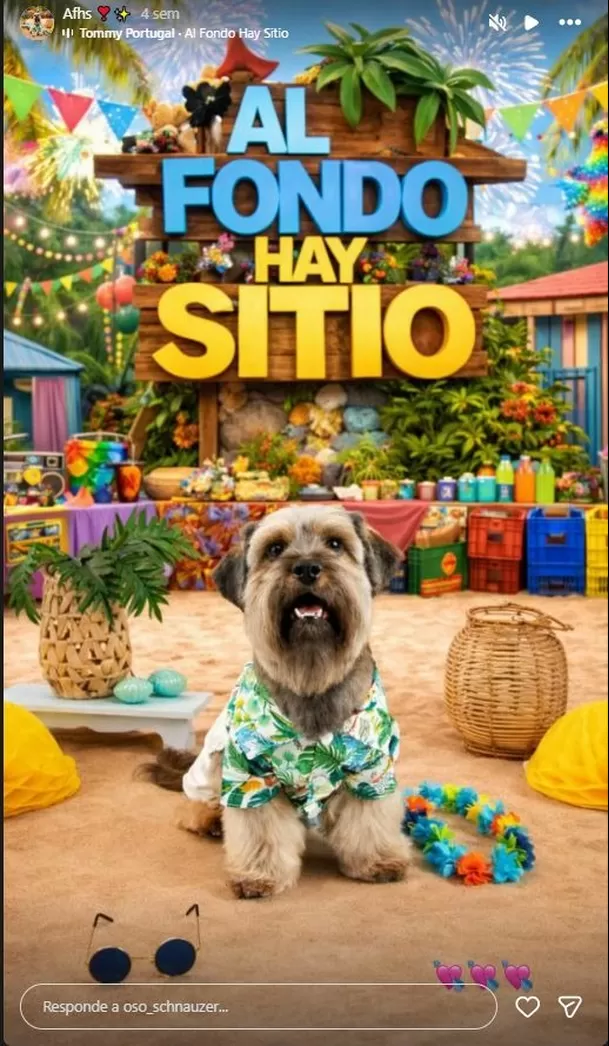 La peculiar celebración de 'Osito', un perrito influencer, causó furor en redes sociales. Foto: Instagram