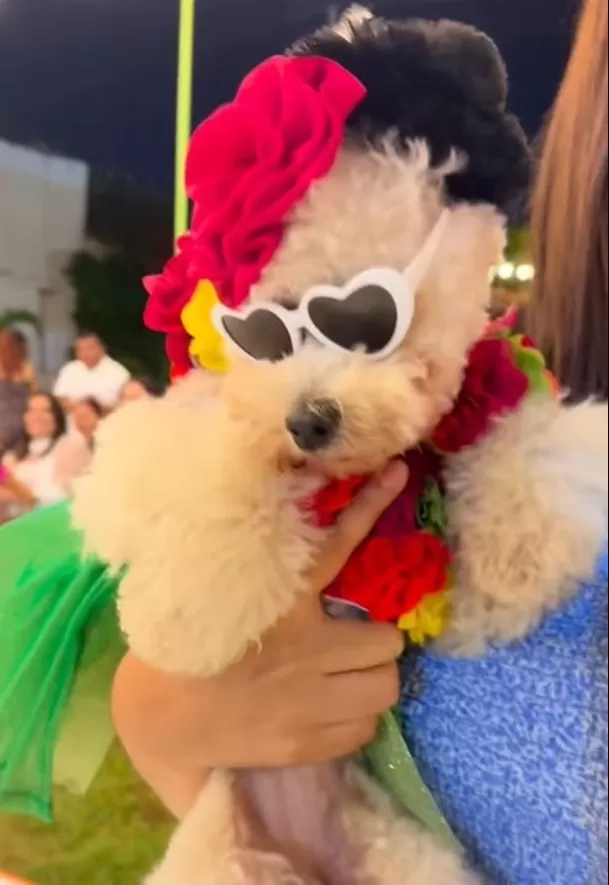 Los invitados de Osito sí que se lucieron para personificar a los icónicos personajes de AFHS. Foto: Instagram