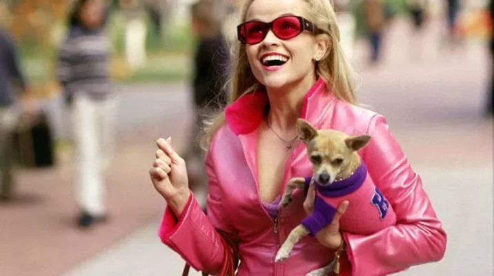 Elle y Bruiser regresarían a la pantalla grande por tercer vez. Foto: blogspot Elle y Bruiser regresarían a la pantalla grande por tercer vez. Foto: blogspot