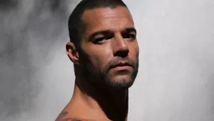 Ricky Martin reveló su homosexualidad en 2010. Posteriormente, se casó con el artista sirio Jwan Yosef