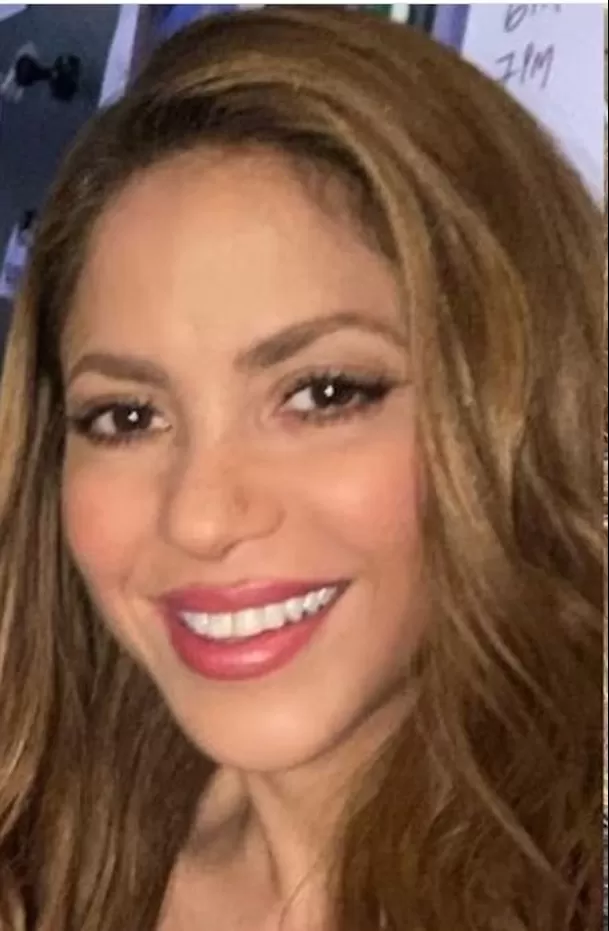 Shakira se hartó de las faltas de respeto de Chía y su entorno y evalúa millonaria demanda / Foto: IG Shakira