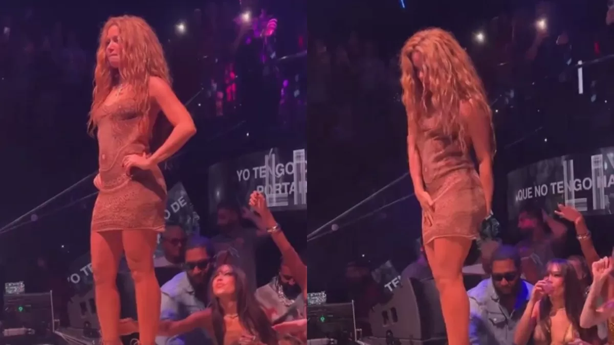 Shakira se bajó de la tarima tras pedir que dejaran de grabarla. Fuente: Instagram