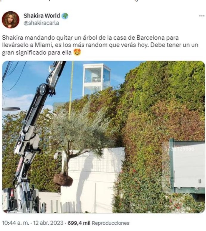 Shakira se llevó hasta el árbol de su casa en Barcelona: ¿Cuál fue el motivo?