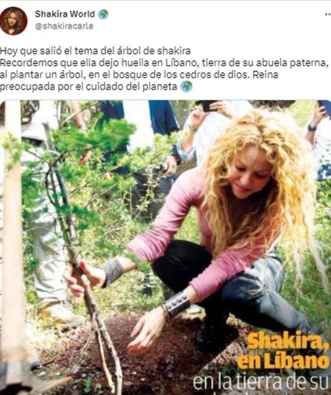 Shakira se llevó hasta el árbol de su casa en Barcelona: ¿Cuál fue el motivo?