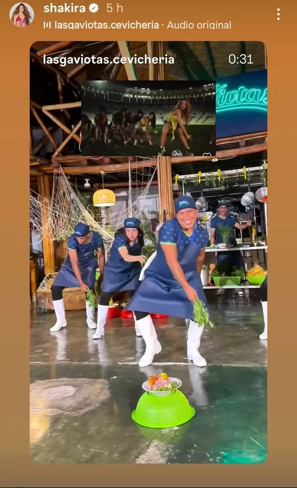  Shakira reacciona a los pasos mundialistas de 'Las Gaviotas' / Instagram