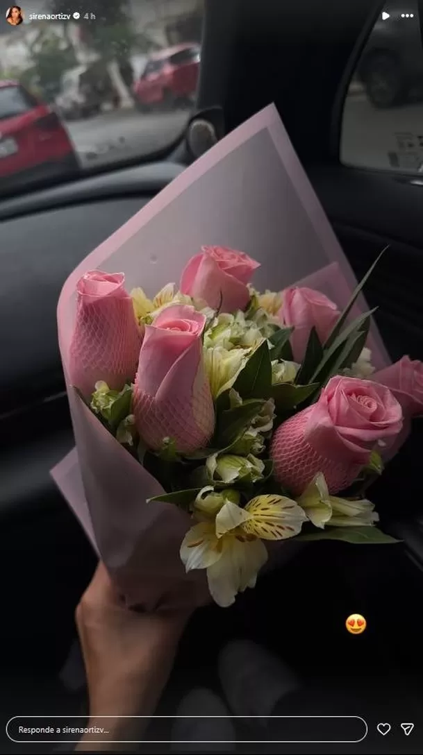 Sirena Ortiz fue sorprendida por Gabriel Meneses / IG: sirenaortizv