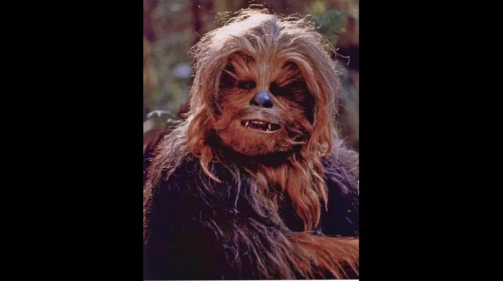 El niño le contó a Chewbacca que perdió a su amigo en un accidente. Foto: Vignette El niño le contó a Chewbacca que perdió a su amigo en un accidente. Foto: Vignette
