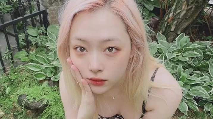 Los fans de Sulli pidieron respeto para la cantante y su familia Los fans de Sulli pidieron respeto para la cantante y su familia
