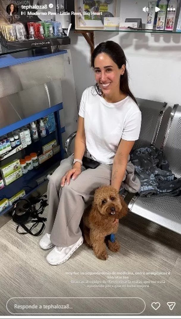 La exguerrera conmovió a sus seguidores al revelar los difíciles momentos que vivió luego de que su mascota Lion fuera internada de emergencia / IG: tephaloza8 La exguerrera conmovió a sus seguidores al revelar los difíciles momentos que vivió luego de que su mascota Lion fuera internada de emergencia / IG: tephaloza8