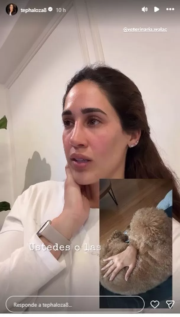 Tepha Loza sufre angustiante momento tras el delicado estado de salud de su "hijito" de cuatro patas / IG: tephaloza8 Tepha Loza sufre angustiante momento tras el delicado estado de salud de su "hijito" de cuatro patas / IG: tephaloza8