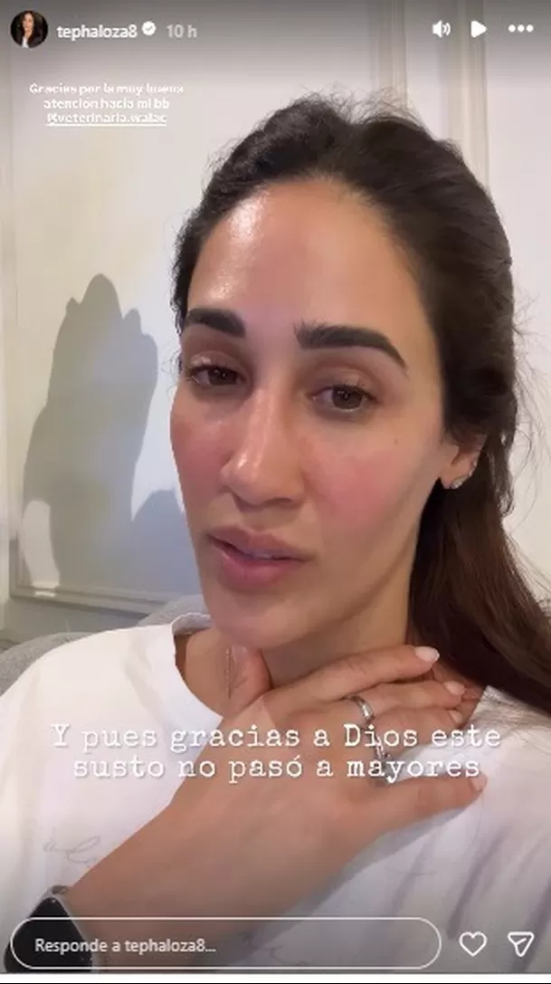 Tepha Loza sufre angustiante momento tras el delicado estado de salud de su "hijito" de cuatro patas / IG: tephaloza8 Tepha Loza sufre angustiante momento tras el delicado estado de salud de su "hijito" de cuatro patas / IG: tephaloza8