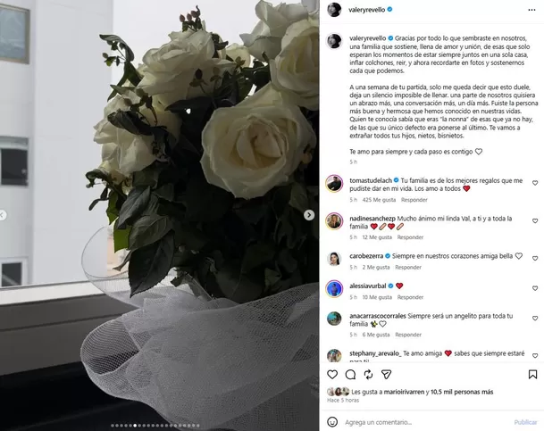 Valery Revello reaparece con desgarrador mensaje tras sufrir una dolorosa pérdida en pleno embarazo Video: Instagram @valeryrevello