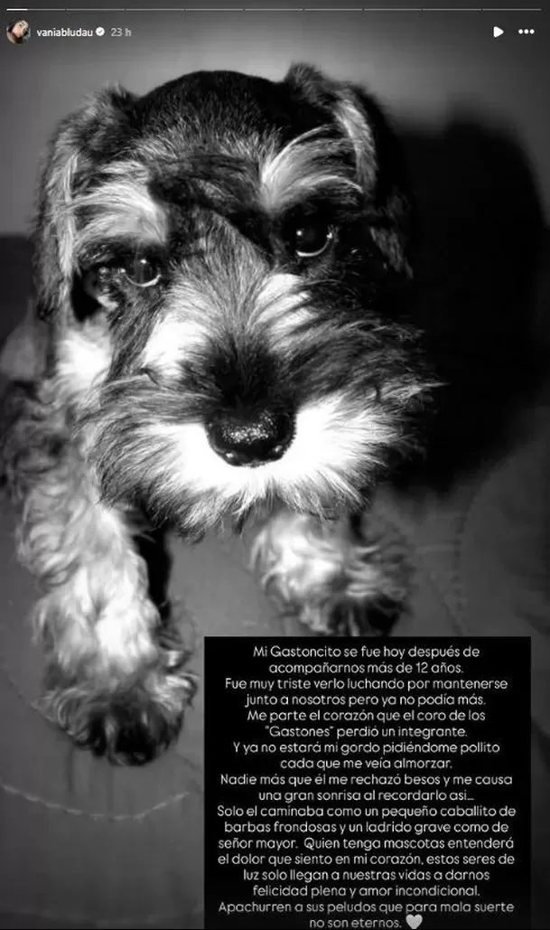 Vania Bludau despidió a su mascota con un conmovedor mensaje en sus redes sociales. Fuente: Instagram