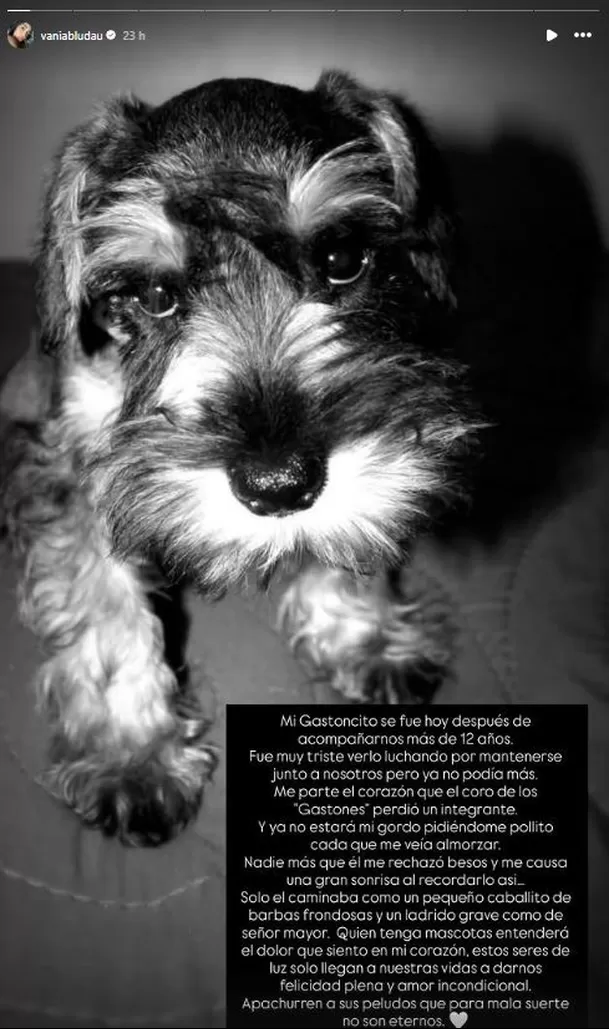 Vania Bludau despidió a su mascota con un conmovedor mensaje en sus redes sociales. Fuente: Instagram