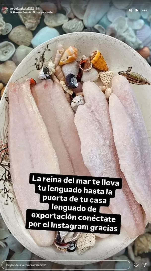 Publicación de Verónica Alcalá en redes sociales. Fuente: Instagram