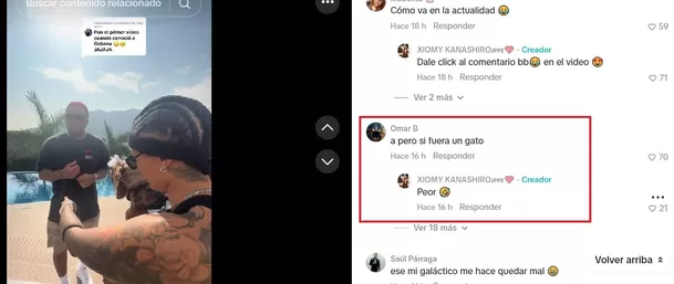 Jefferson Farfán también le tendría miedo a los gatos / TikTok