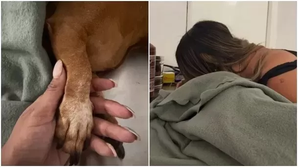 El último adiós de Xiomy Kanashiro a su mascota Moana / Instagram