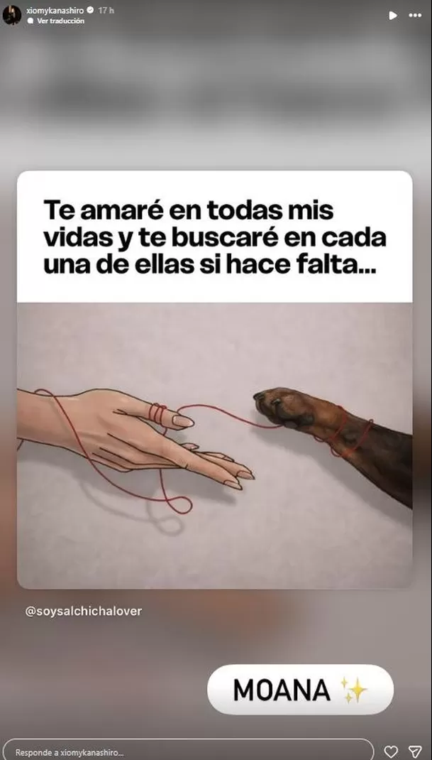 Xiomy Kanashiro publicó mensaje dedicado a su mascota fallecida / Instagram