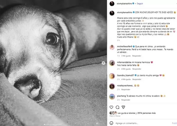 Xiomy Kanashiro dedicó conmovedor adiós a su mascota / Instagram