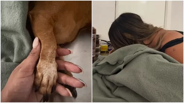 El último adiós de Xiomy Kanashiro a su mascota Moana / Instagram