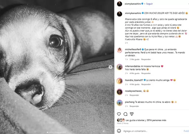 Xiomy Kanashiro dedicó conmovedor adiós a su mascota / Instagram