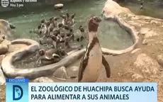 El zoológico de Huachipa busca ayuda para alimentar a sus animales - Noticias de zoologico