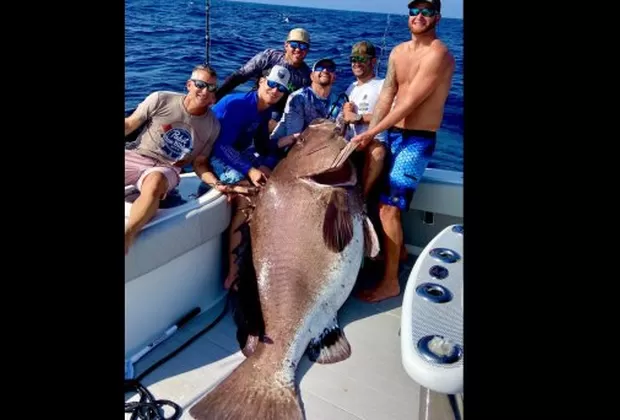 Estados Unidos: Pescan en Florida un mero de Varsovia de 50 años y 158 kilos