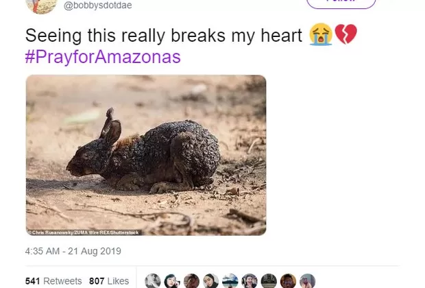 Estas son las fotos falsas que desinforman sobre los incendios en la Amazonía