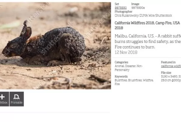 Estas son las fotos falsas que desinforman sobre los incendios en la Amazonía