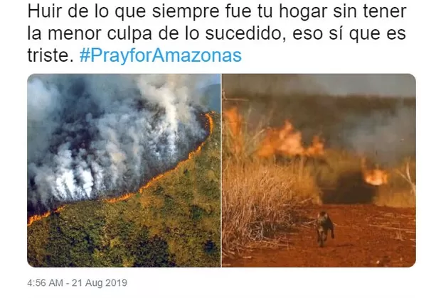 Estas son las fotos falsas que desinforman sobre los incendios en la Amazonía